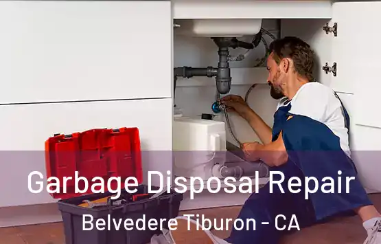  Garbage Disposal Repair Belvedere Tiburon - CA