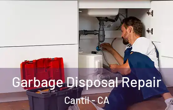  Garbage Disposal Repair Cantil - CA