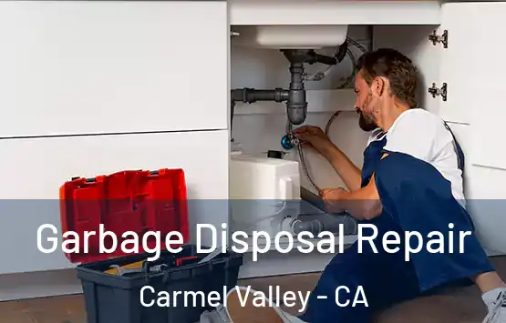  Garbage Disposal Repair Carmel Valley - CA