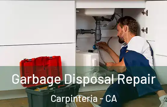  Garbage Disposal Repair Carpinteria - CA