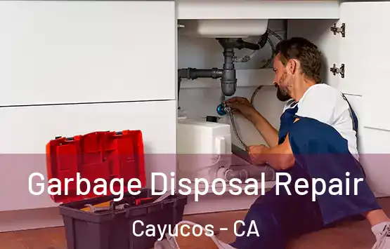  Garbage Disposal Repair Cayucos - CA