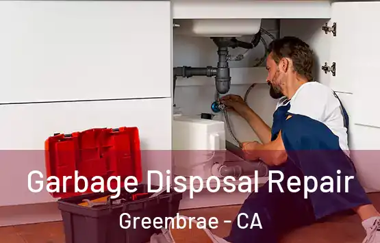  Garbage Disposal Repair Greenbrae - CA