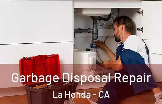  Garbage Disposal Repair La Honda - CA
