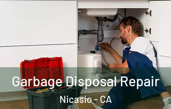  Garbage Disposal Repair Nicasio - CA