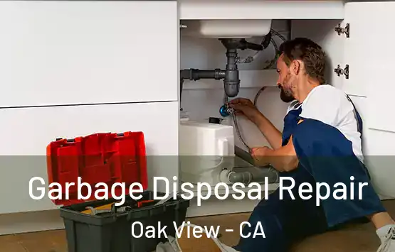  Garbage Disposal Repair Oak View - CA