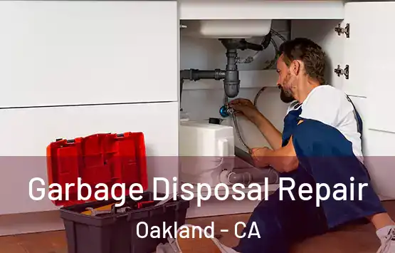  Garbage Disposal Repair Oakland - CA