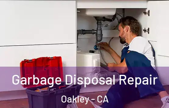  Garbage Disposal Repair Oakley - CA