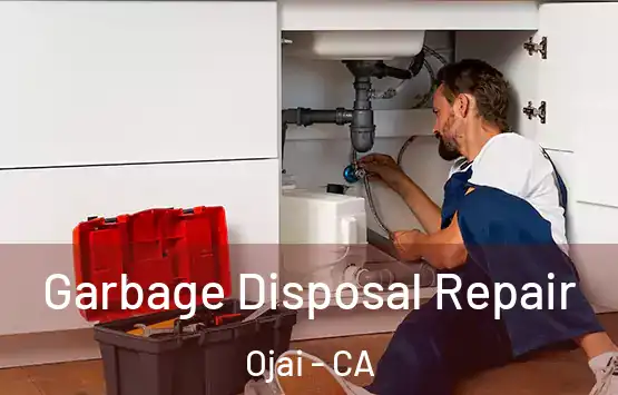  Garbage Disposal Repair Ojai - CA