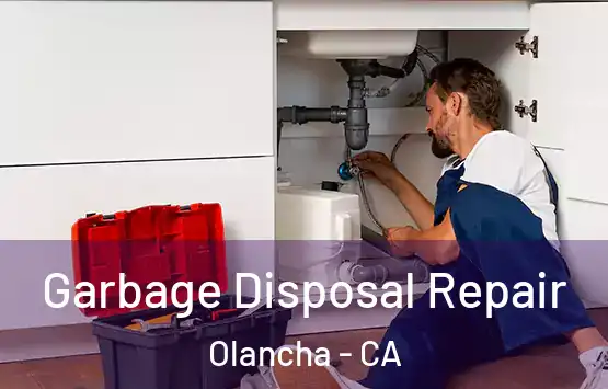  Garbage Disposal Repair Olancha - CA