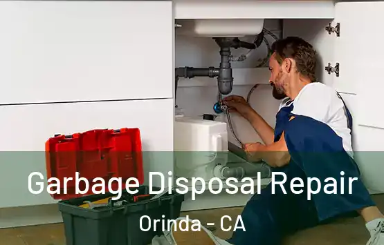  Garbage Disposal Repair Orinda - CA