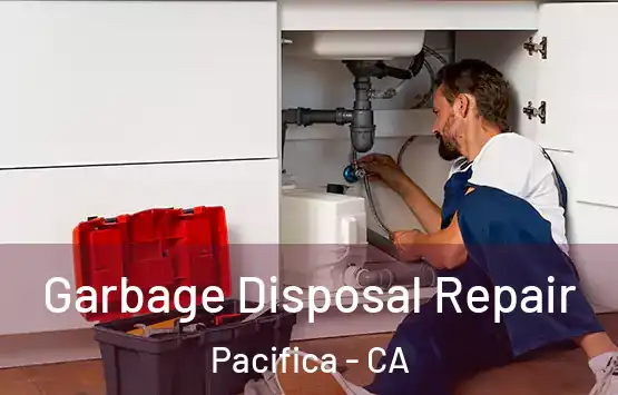  Garbage Disposal Repair Pacifica - CA
