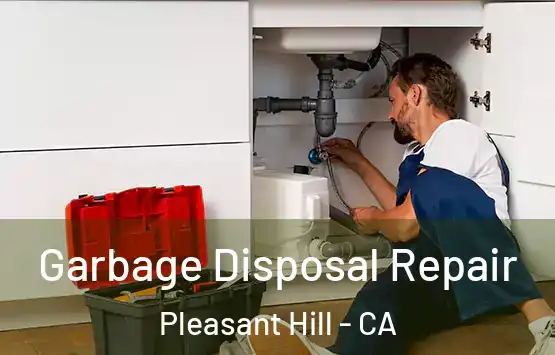  Garbage Disposal Repair Pleasant Hill - CA