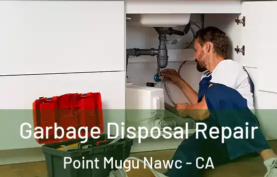 Garbage Disposal Repair Point Mugu Nawc - CA