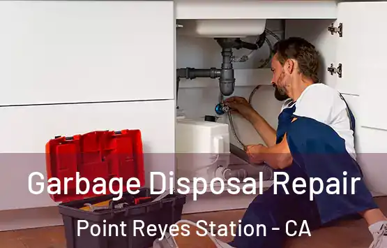  Garbage Disposal Repair Point Reyes Station - CA
