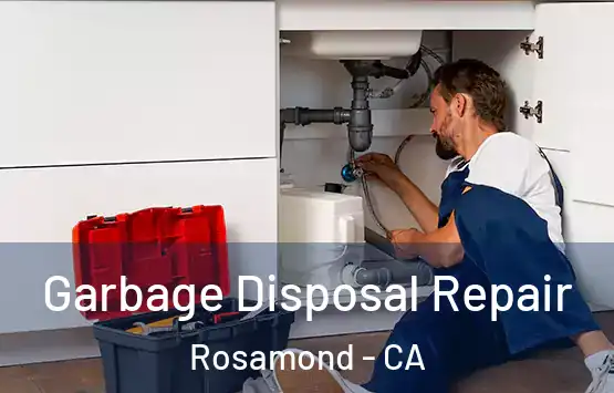  Garbage Disposal Repair Rosamond - CA