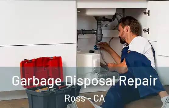  Garbage Disposal Repair Ross - CA