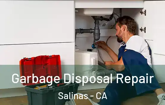  Garbage Disposal Repair Salinas - CA
