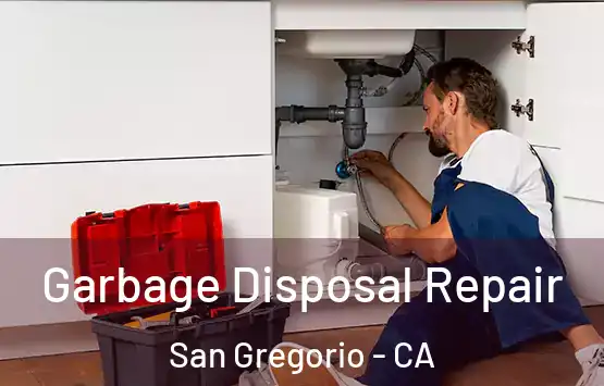  Garbage Disposal Repair San Gregorio - CA