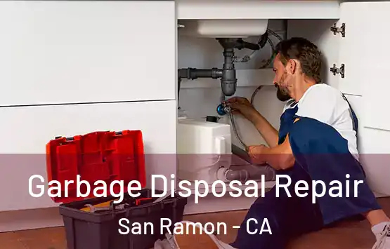  Garbage Disposal Repair San Ramon - CA