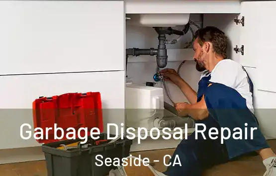  Garbage Disposal Repair Seaside - CA