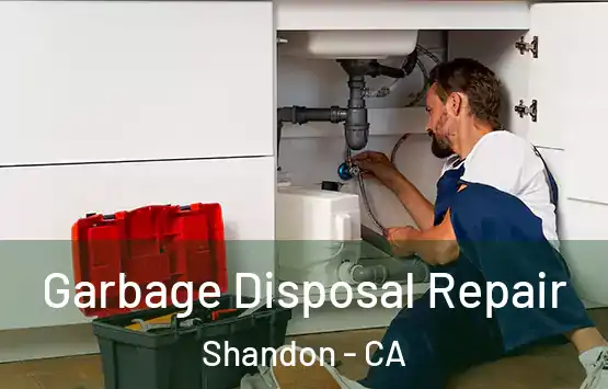  Garbage Disposal Repair Shandon - CA