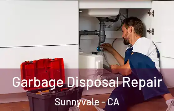  Garbage Disposal Repair Sunnyvale - CA