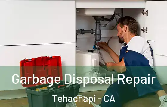  Garbage Disposal Repair Tehachapi - CA