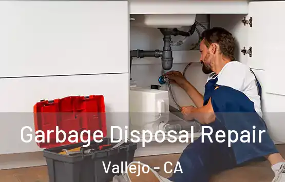  Garbage Disposal Repair Vallejo - CA