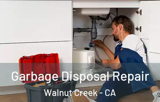  Garbage Disposal Repair Walnut Creek - CA