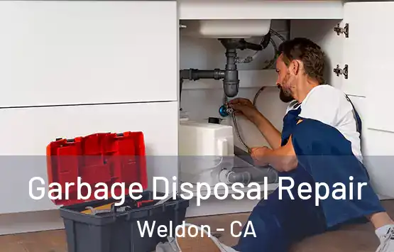  Garbage Disposal Repair Weldon - CA