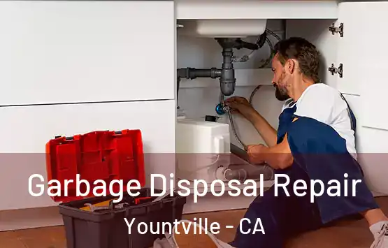  Garbage Disposal Repair Yountville - CA