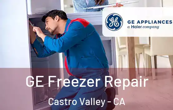  GE Freezer Repair Castro Valley - CA
