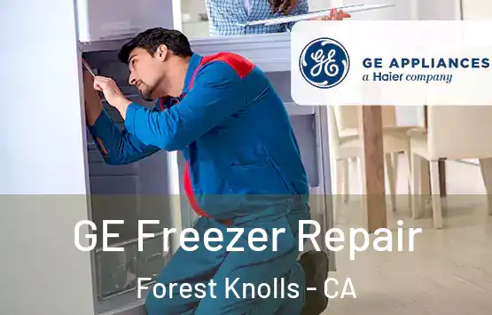  GE Freezer Repair Forest Knolls - CA