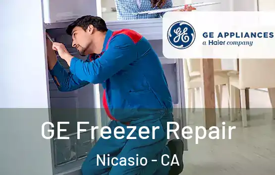  GE Freezer Repair Nicasio - CA