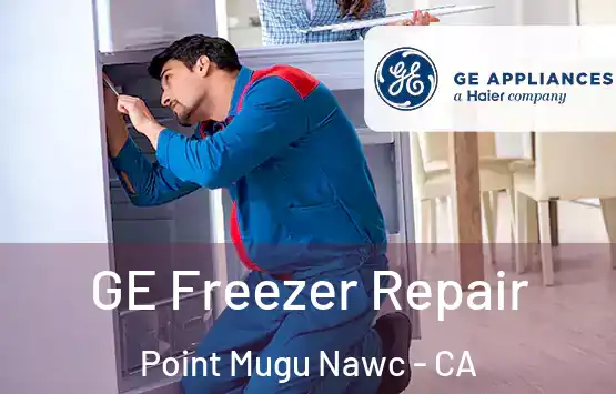  GE Freezer Repair Point Mugu Nawc - CA