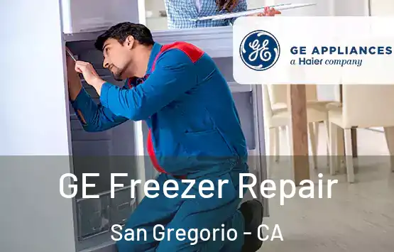  GE Freezer Repair San Gregorio - CA