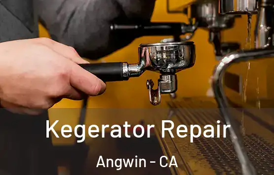  Kegerator Repair Angwin - CA