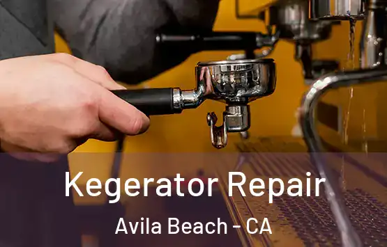  Kegerator Repair Avila Beach - CA