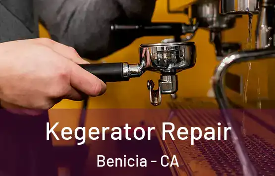  Kegerator Repair Benicia - CA