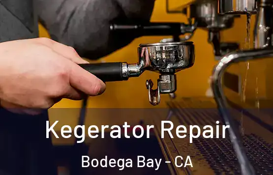  Kegerator Repair Bodega Bay - CA