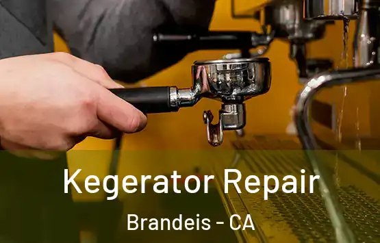  Kegerator Repair Brandeis - CA