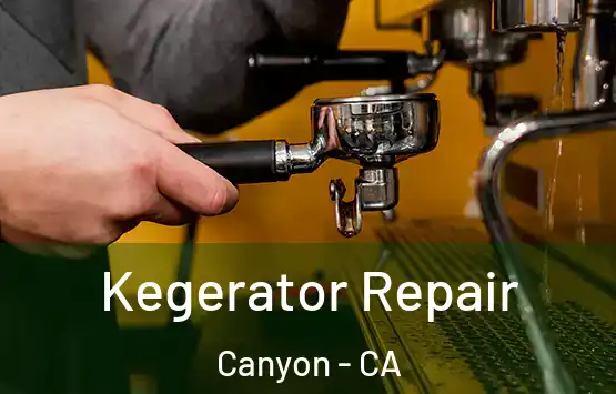  Kegerator Repair Canyon - CA