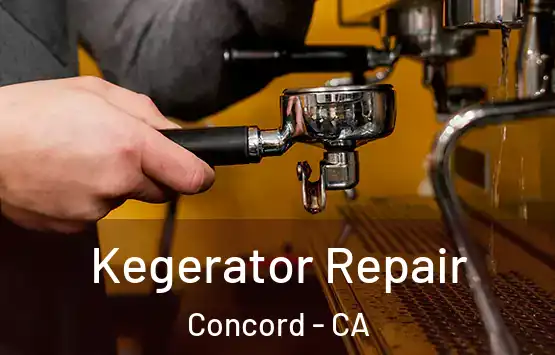  Kegerator Repair Concord - CA