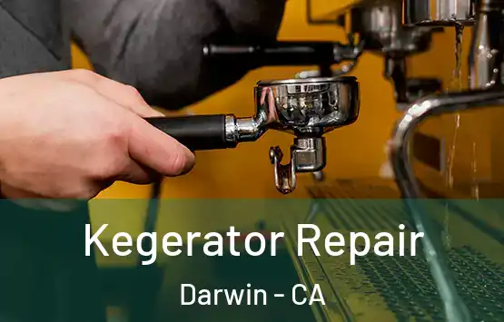  Kegerator Repair Darwin - CA