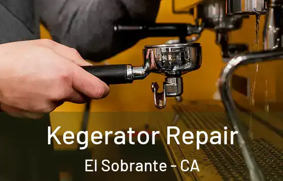  Kegerator Repair El Sobrante - CA