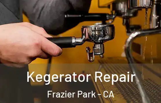  Kegerator Repair Frazier Park - CA