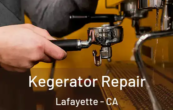  Kegerator Repair Lafayette - CA