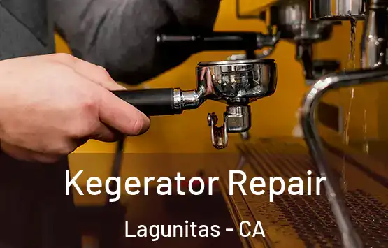  Kegerator Repair Lagunitas - CA