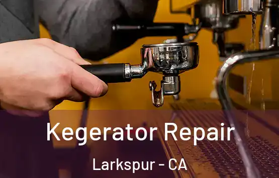  Kegerator Repair Larkspur - CA