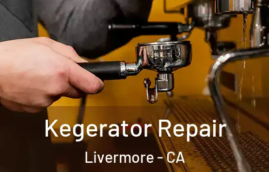  Kegerator Repair Livermore - CA